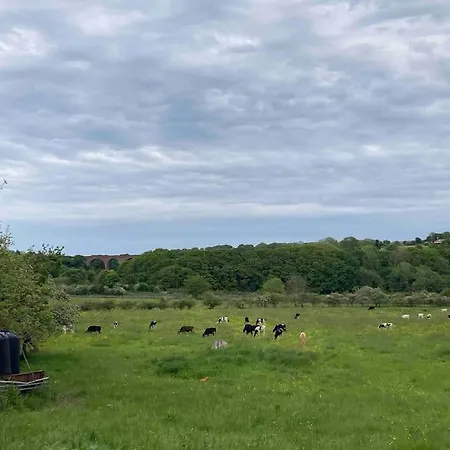 Dovedale House 別荘 *