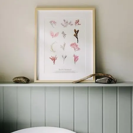 Ferienhaus Dovedale House Whitby